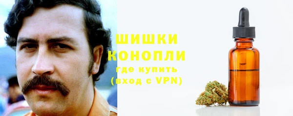 ПСИЛОЦИБИНОВЫЕ ГРИБЫ Ладушкин