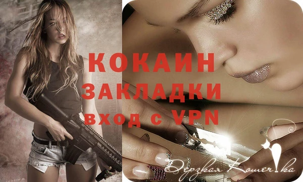 ПСИЛОЦИБИНОВЫЕ ГРИБЫ Ладушкин