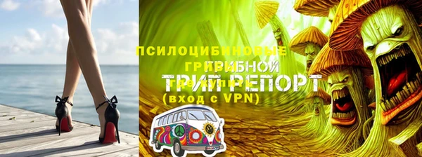 стаф Лагань