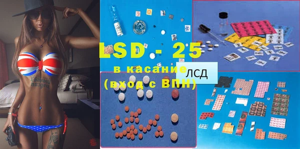 ПСИЛОЦИБИНОВЫЕ ГРИБЫ Ладушкин