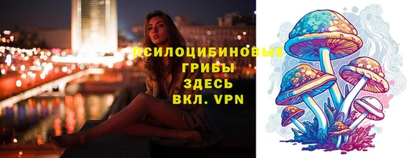 стаф Лагань